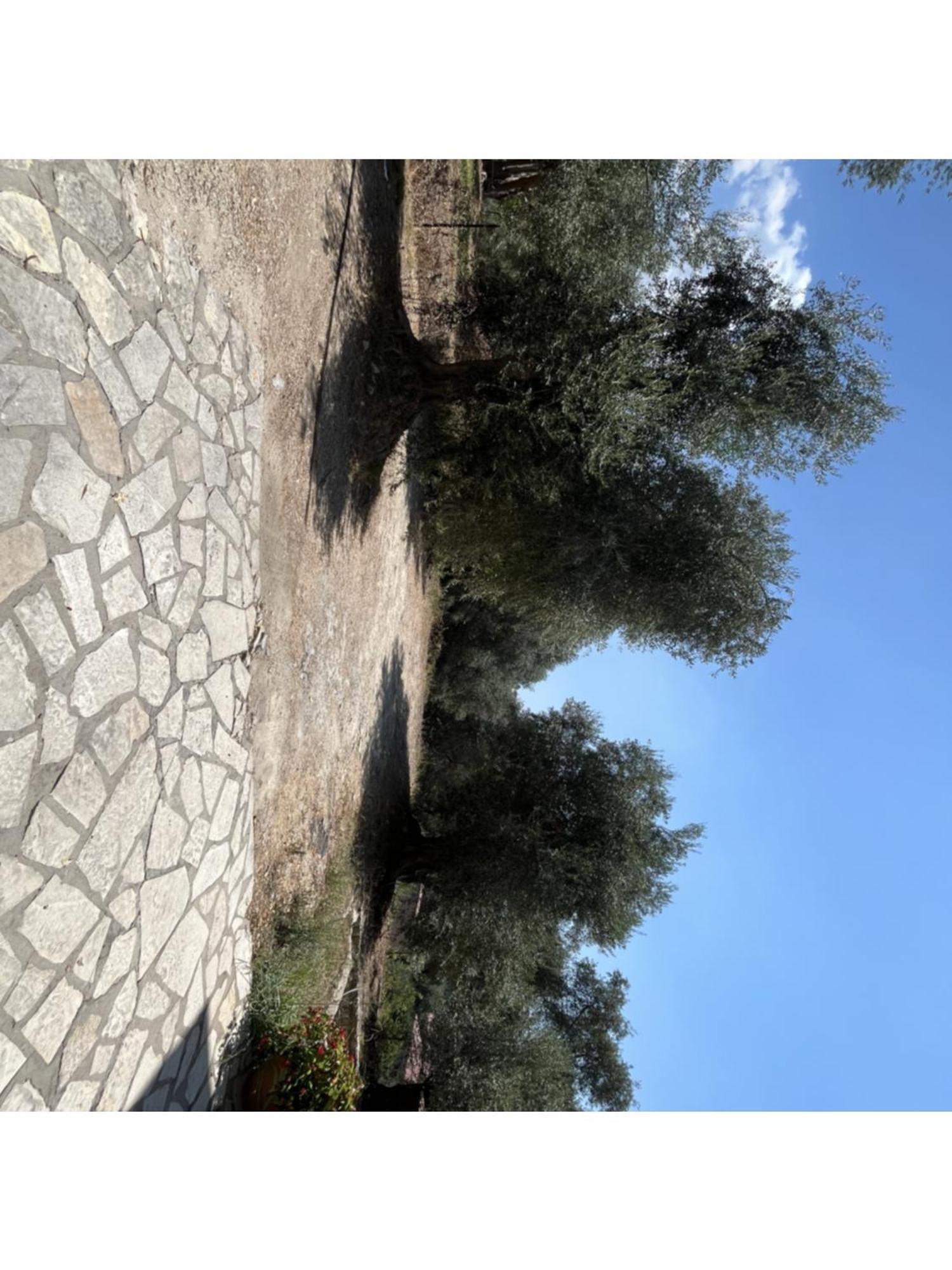 Apartmán Meltemi Parga Exteriér fotografie